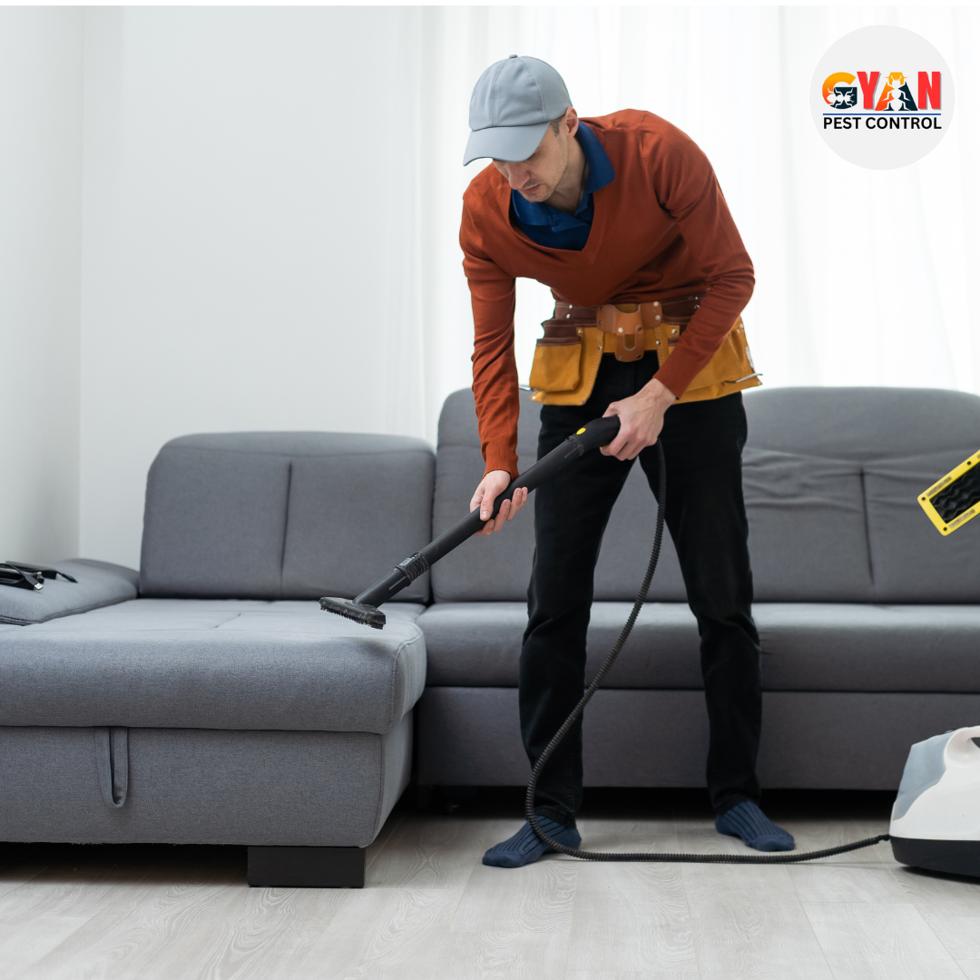 Sofa Cleaning